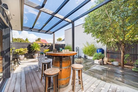 Photo of property in 44 Limbrick Street, Terrace End, Palmerston North, 4410