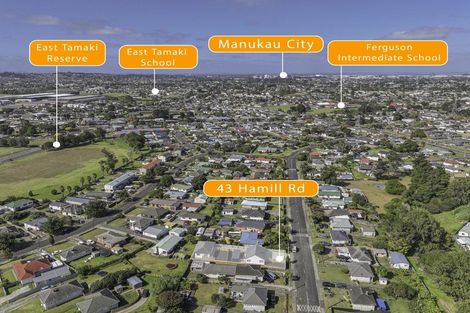 Photo of property in 43 Hamill Road, Otara, Auckland, 2023