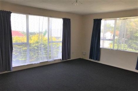 Photo of property in 230a Mitchell Street, Brooklyn, Wellington, 6021