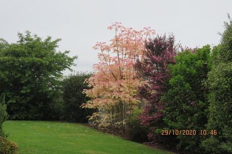 Photo of property in 39 Lord Rutherford Road North, Brightwater, 7022