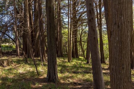 Photo of property in Annedale Road, Tinui, 5894