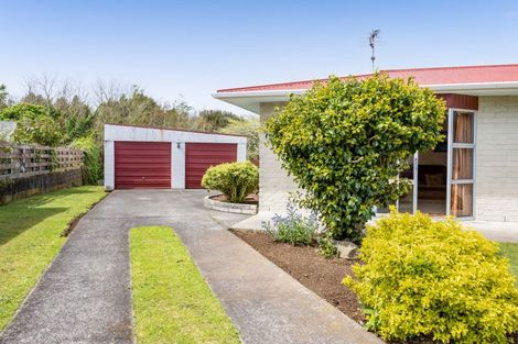 Photo of property in 3 Caesar Street, Stratford, 4332