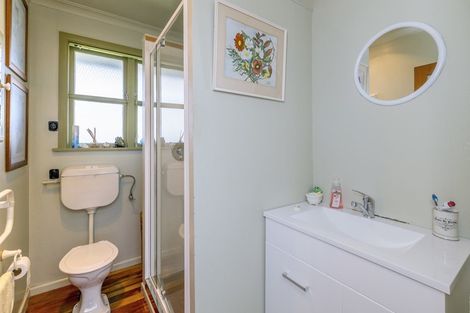 Photo of property in 66 Winchester Street, Levin, 5510