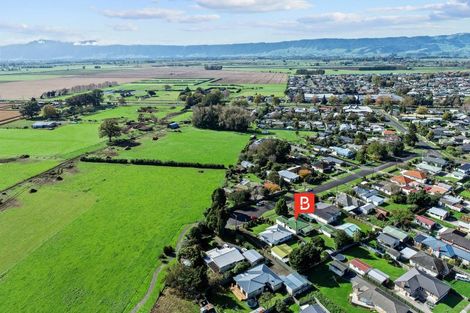 Photo of property in 16 Dawson Street, Matamata, 3400