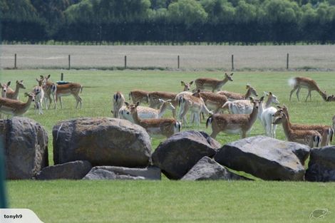 Photo of property in 18 Meadowlinks Lane, Pleasant Point, 7974