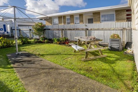 Photo of property in 66 Winchester Street, Levin, 5510