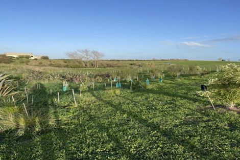 Photo of property in 301 Mercer Ferry Road, Mercer, Tuakau, 2696