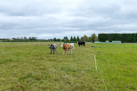 Photo of property in 72 Winslow Willowby Road, Winslow, Ashburton, 7775