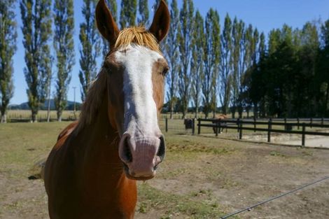 Photo of property in 175 Tiverton Downs Road, Broadlands, Reporoa, 3081
