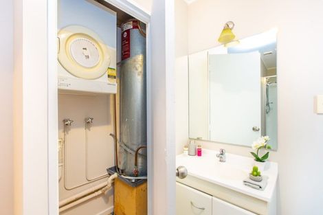 Photo of property in 19a Hood Street, Hamilton Central, Hamilton, 3204