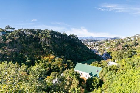 Photo of property in 131 Raroa Road, Aro Valley, Wellington, 6012