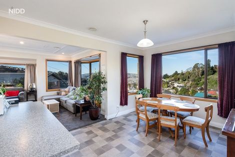 Photo of property in 461 South Road, Calton Hill, Dunedin, 9012