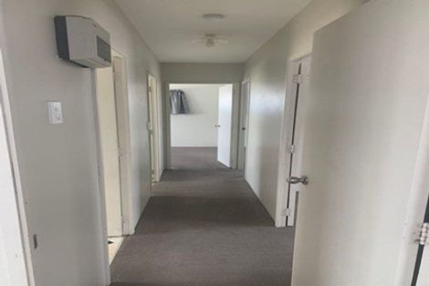 Photo of property in 29 Barneys Farm Road, Clendon Park, Auckland, 2103