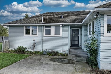 Photo of property in 15 Willow Street, Hampstead, Ashburton, 7700