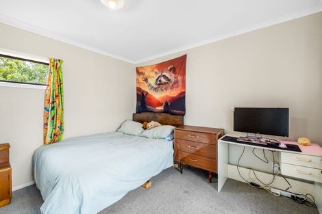 Photo of property in 20 Park Avenue, Oxford, 7430