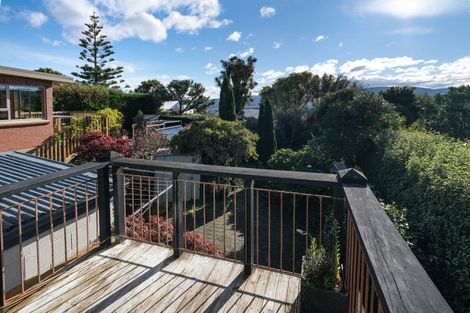 Photo of property in 65 Hunt Street, Andersons Bay, Dunedin, 9013