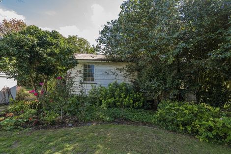 Photo of property in 79 Hot Water Beach Road, Purangi, Whitianga, 3591