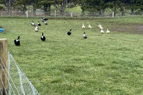 Photo of property in 26 Maimai Way, West Plains, 9810