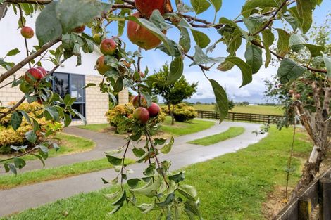 Photo of property in 800 Tuhikaramea Road, Ngahinapouri, Hamilton, 3290