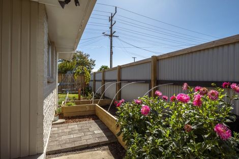 Photo of property in 80 Alabama Road, Redwoodtown, Blenheim, 7201