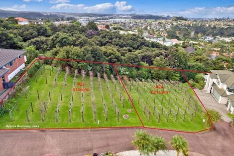 Photo of property in 22 Lorikeet Place, Unsworth Heights, Auckland, 0632