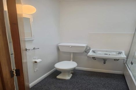 Photo of property in 195 Nikau Street, Saint Leonards, Hastings, 4120