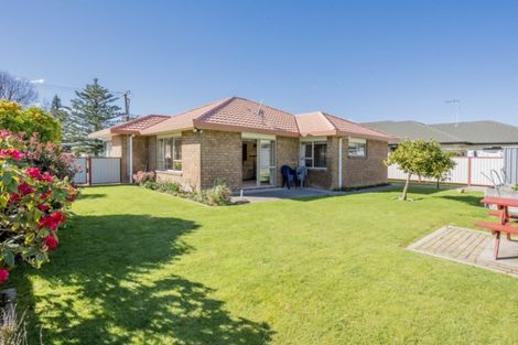 Photo of property in 176 Bath Street, Levin, 5510