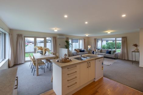 Photo of property in 14 Hasendene Drive, Lincoln, 7608