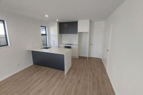 Photo of property in 49 Chrysolite Place, Belfast, Christchurch, 8051