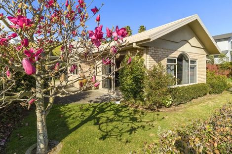 Photo of property in 238 Castlewold Drive, Bethlehem, Tauranga, 3110