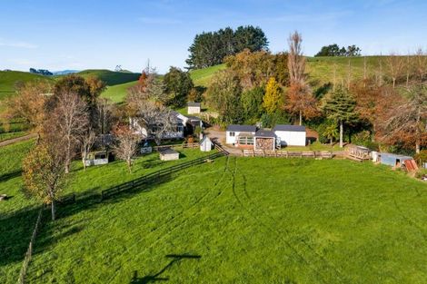 Photo of property in 295 Skinner Road, Bird Road, Stratford, 4393