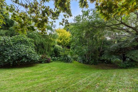 Photo of property in 38 Revell Drive, Ohauiti, Tauranga, 3112