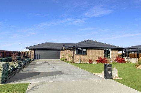 Photo of property in 36 Carston Street, Leeston, 7632