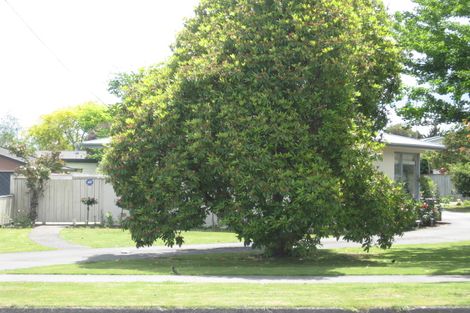 Photo of property in 247 Shakespeare Street, Leamington, Cambridge, 3432