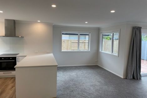 Photo of property in 117 Limbrick Street, Terrace End, Palmerston North, 4410