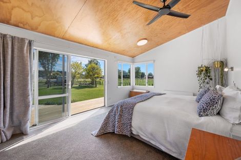 Photo of property in 59 Buchanan Street, Bay View, Napier, 4104