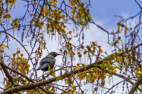 Photo of property in 1/3 Princeton Road, Raumati Beach, Paraparaumu, 5032