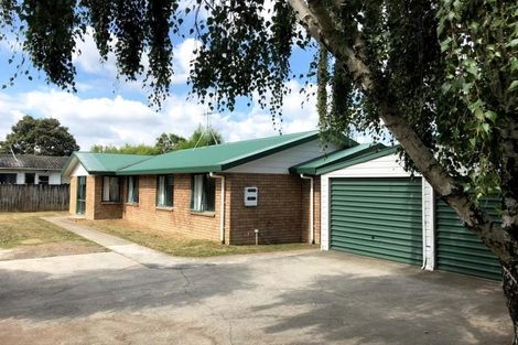 Photo of property in 340a Peachgrove Road, Fairfield, Hamilton, 3214