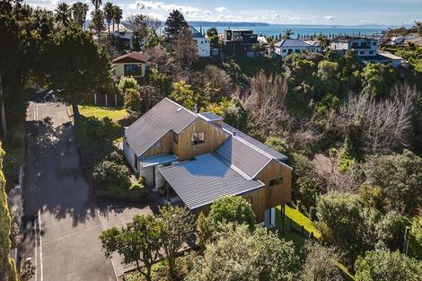 Photo of property in 47 Hospital Terrace, Hospital Hill, Napier, 4110