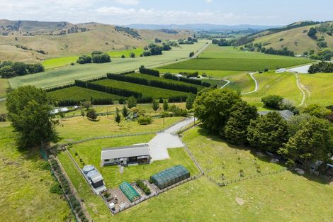 Photo of property in 909a Wharekopae Road, Ngatapa, Gisborne, 4072