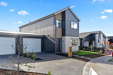 Photo of property in 53 Probert Crescent, Chartwell, Hamilton, 3210