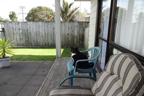 Photo of property in 297b Chadwick Road, Gate Pa, Tauranga, 3112