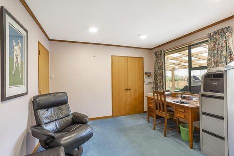 Photo of property in 268 Norwood Street, Normanby, Dunedin, 9010