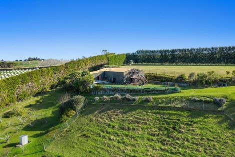 Photo of property in 333 Paerata Ridge Road, Waiotahe, Opotiki, 3198