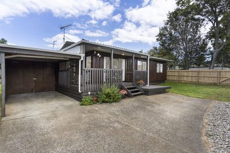 Photo of property in 98b Victoria Street, Pukekohe, 2120