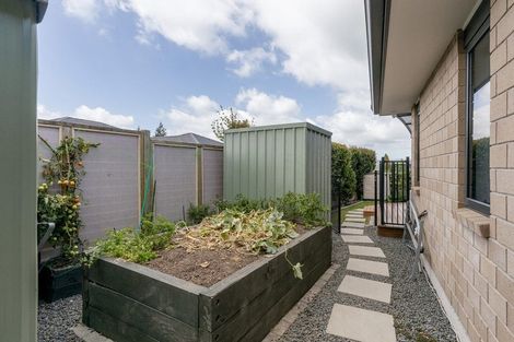 Photo of property in 59 Margaret Drive, Omokoroa, 3114