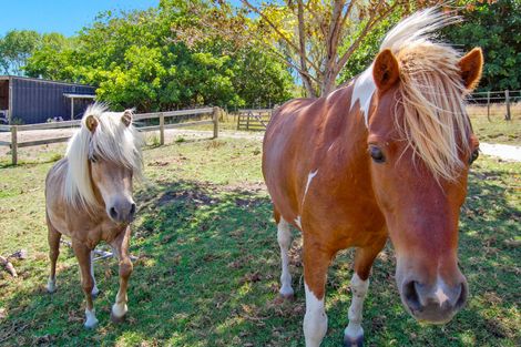 Photo of property in 1470 Oneriri Road, Kaiwaka, 0573