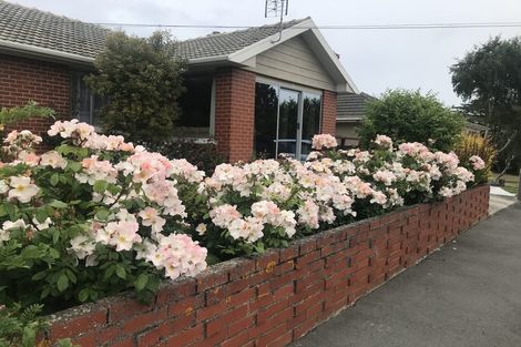 Photo of property in 381 Brighton Road, Waldronville, Dunedin, 9018