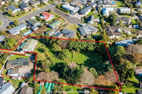 Photo of property in 152 Cameron Road, Te Puke, 3119