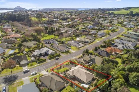 Photo of property in 55 Rowesdale Drive, Ohauiti, Tauranga, 3112